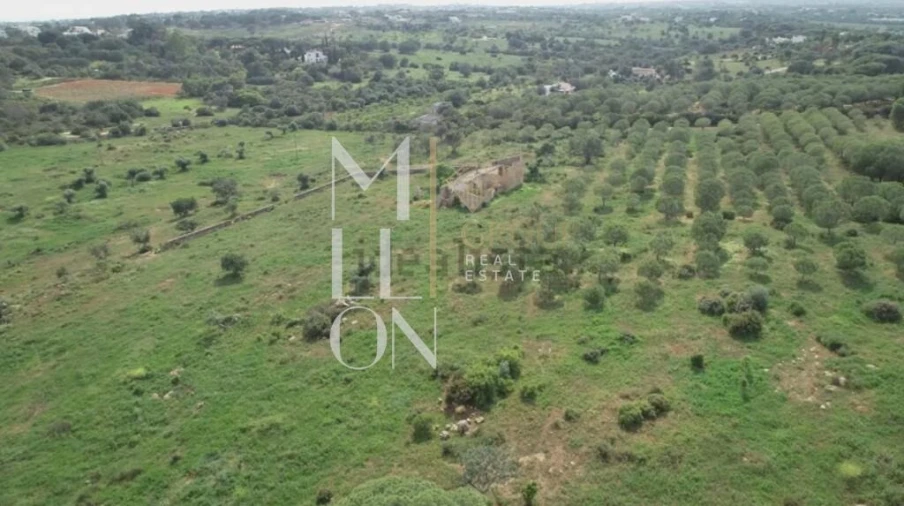 Quinta T4 para Venda em Lagoa e Carvoeiro Foto 5