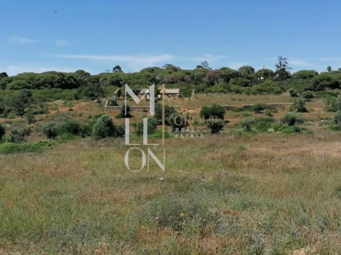 Quinta T4 para Venda em Lagoa e Carvoeiro Foto 4