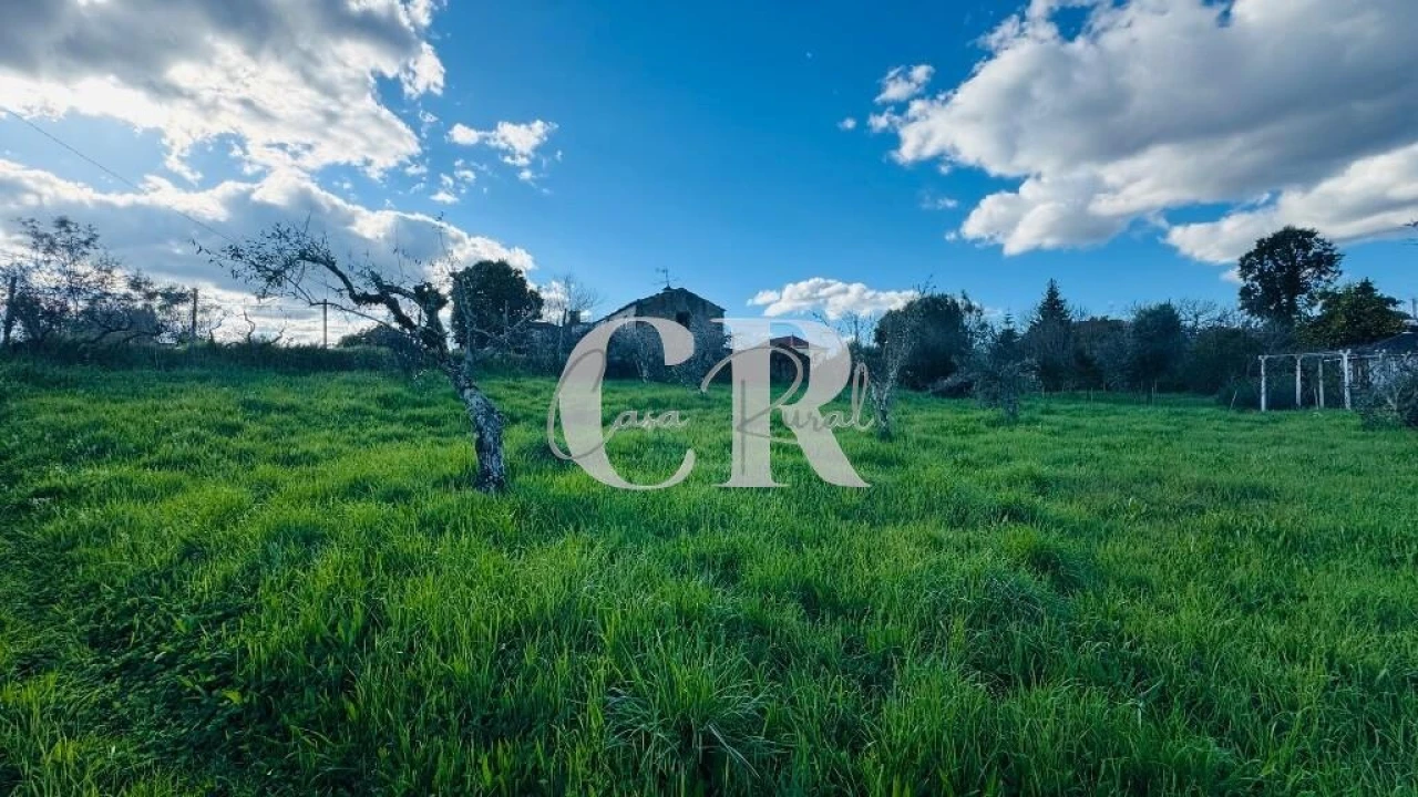 Moradia T2 para Venda em Pedrogão Grande Foto 37