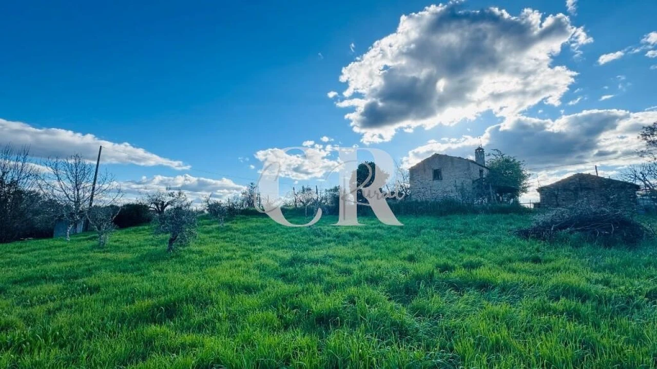 Moradia T2 para Venda em Pedrogão Grande Foto 40