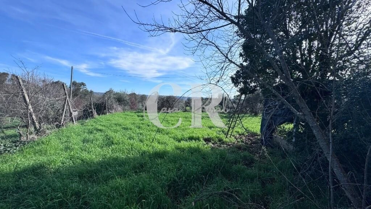 Moradia T2 para Venda em Pedrogão Grande Foto 18