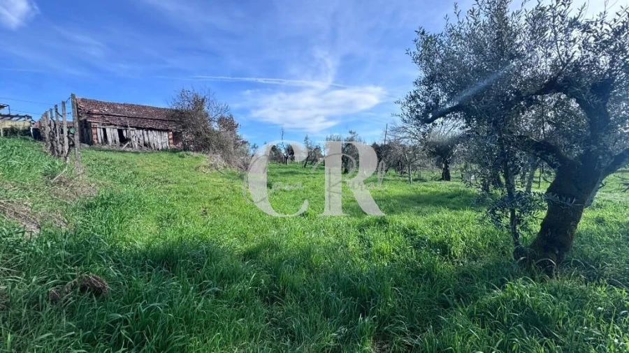 Moradia T2 para Venda em Pedrogão Grande Foto 25