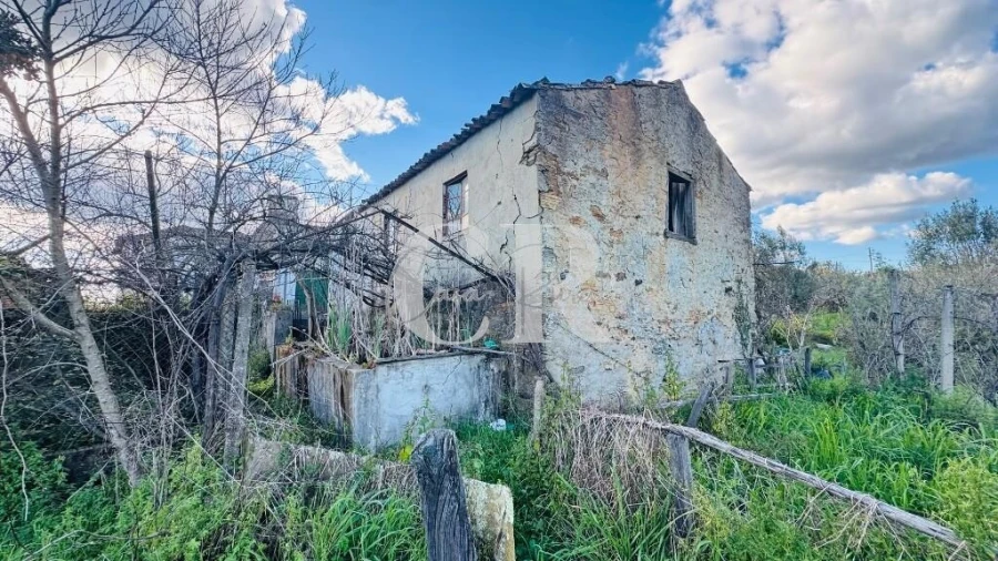 Moradia T2 para Venda em Pedrogão Grande Foto 33