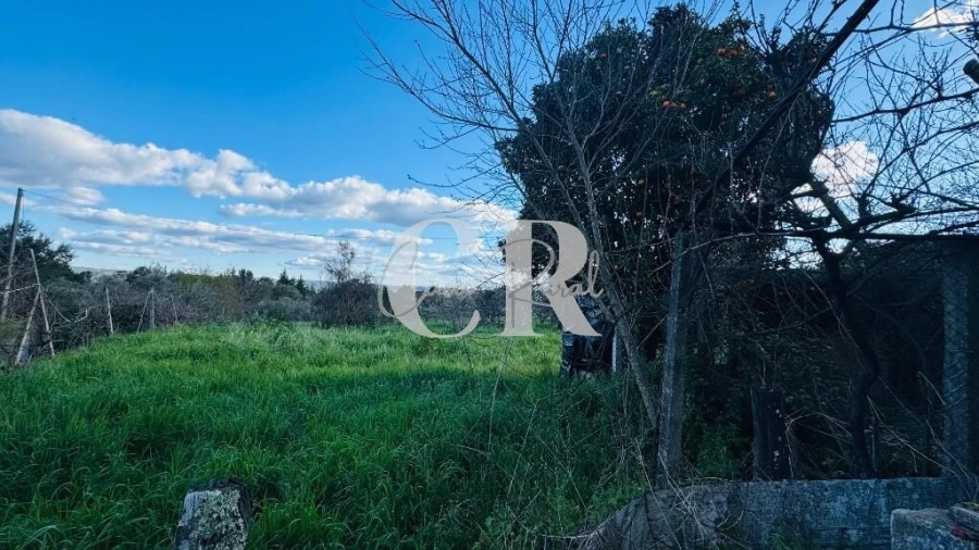 Moradia T2 para Venda em Pedrogão Grande Foto 31