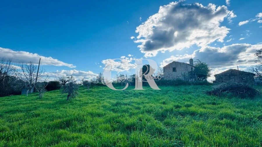 Moradia T2 para Venda em Pedrogão Grande Foto 40