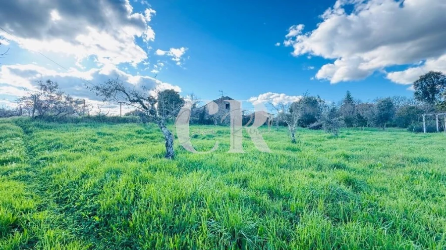 Moradia T2 para Venda em Pedrogão Grande Foto 38