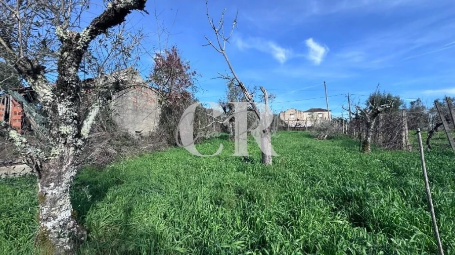 Moradia T2 para Venda em Pedrogão Grande Foto 26