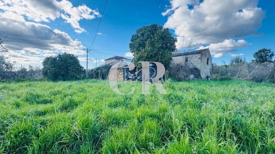 Moradia T2 para Venda em Pedrogão Grande Foto 34