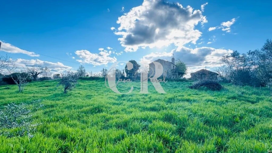 Moradia T2 para Venda em Pedrogão Grande Foto 39