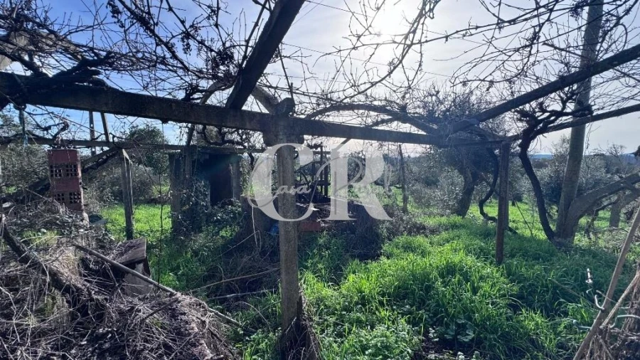 Moradia T2 para Venda em Pedrogão Grande Foto 29