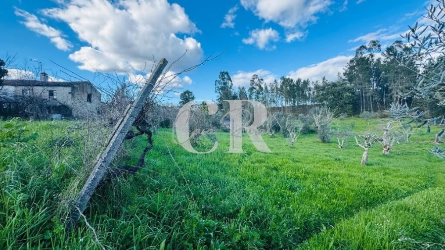 Moradia T2 para Venda em Pedrogão Grande Foto 36