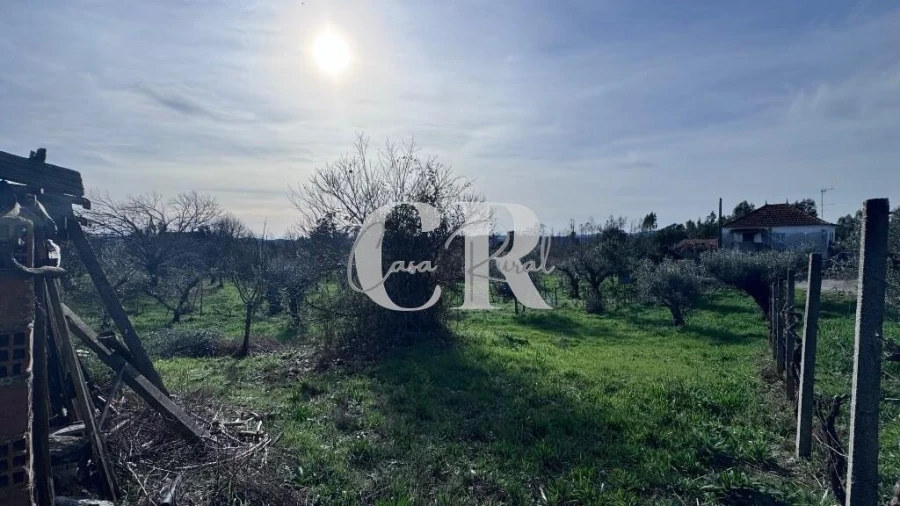 Moradia T2 para Venda em Pedrogão Grande Foto 24