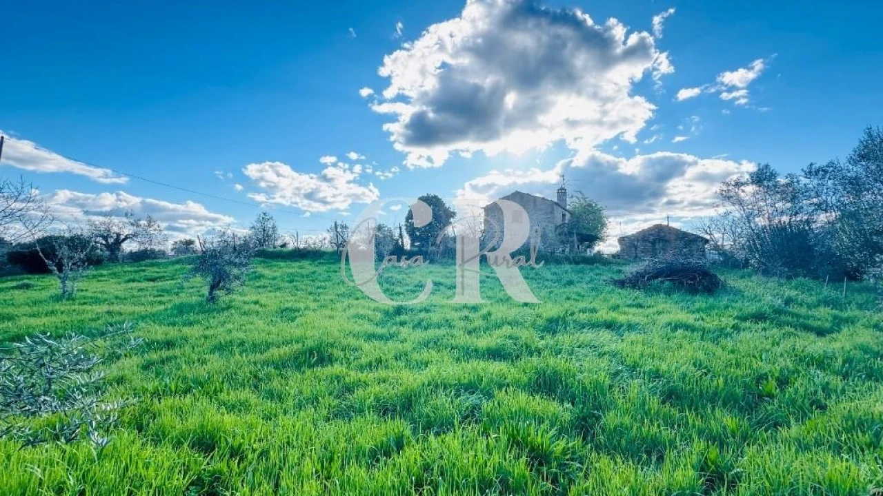 Moradia T2 para Venda em Pedrogão Grande Foto 39