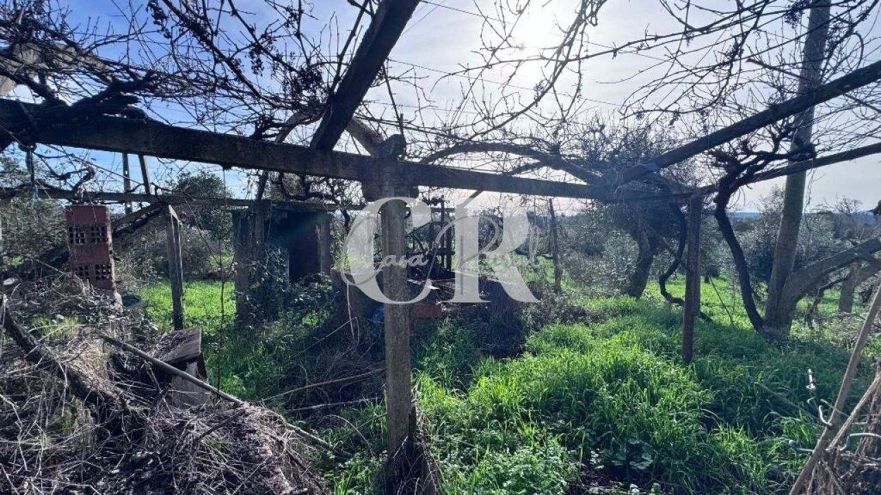 Moradia T2 para Venda em Pedrogão Grande Foto 29