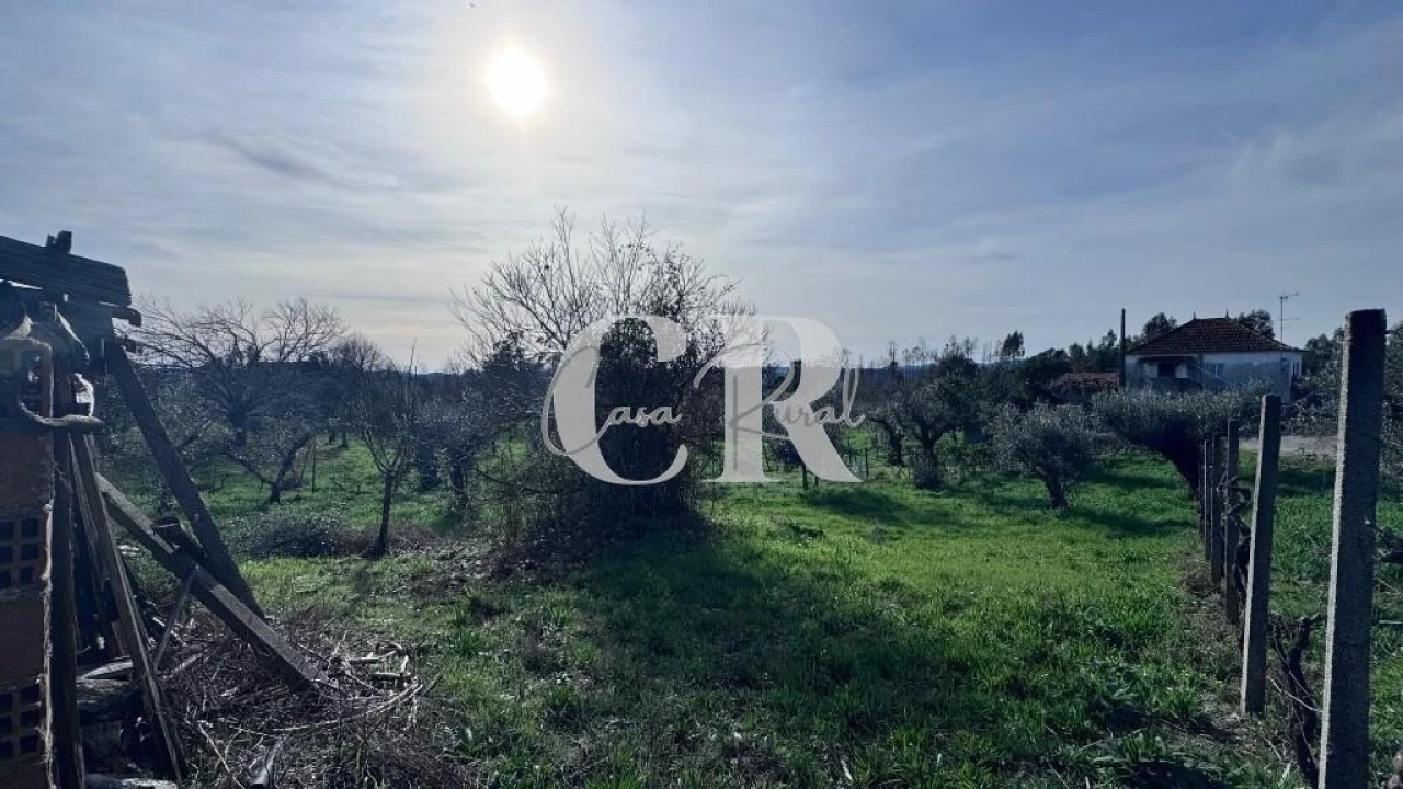 Moradia T2 para Venda em Pedrogão Grande Foto 24