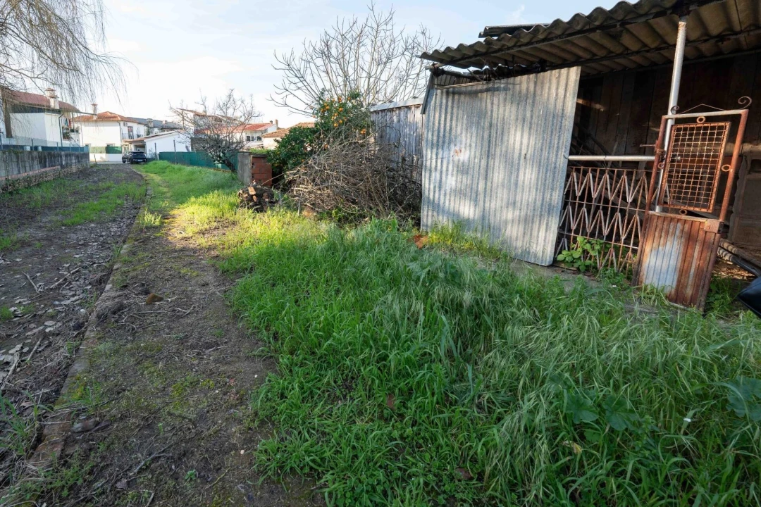 Moradia T3 para Venda em Pampilhosa Foto 46