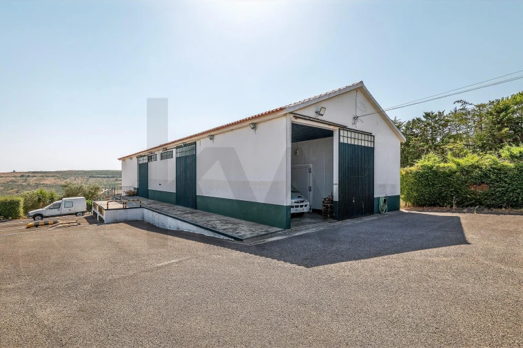 Quinta T5 para Venda em Santiago dos Velhos Foto 22