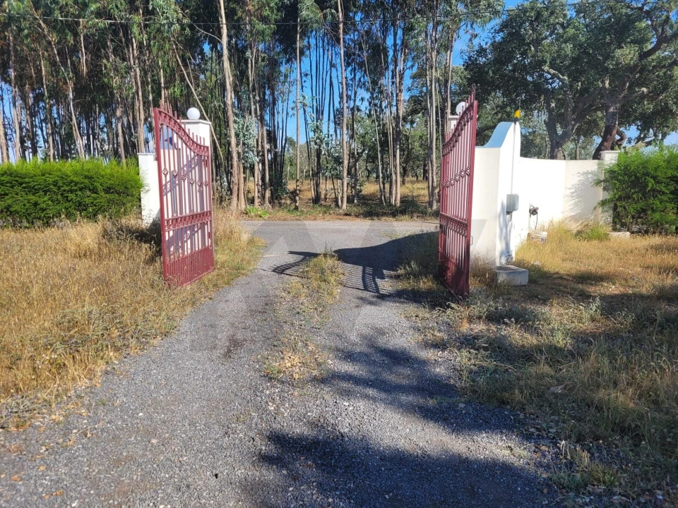 Quinta T2 para Venda em Cercal Foto 6