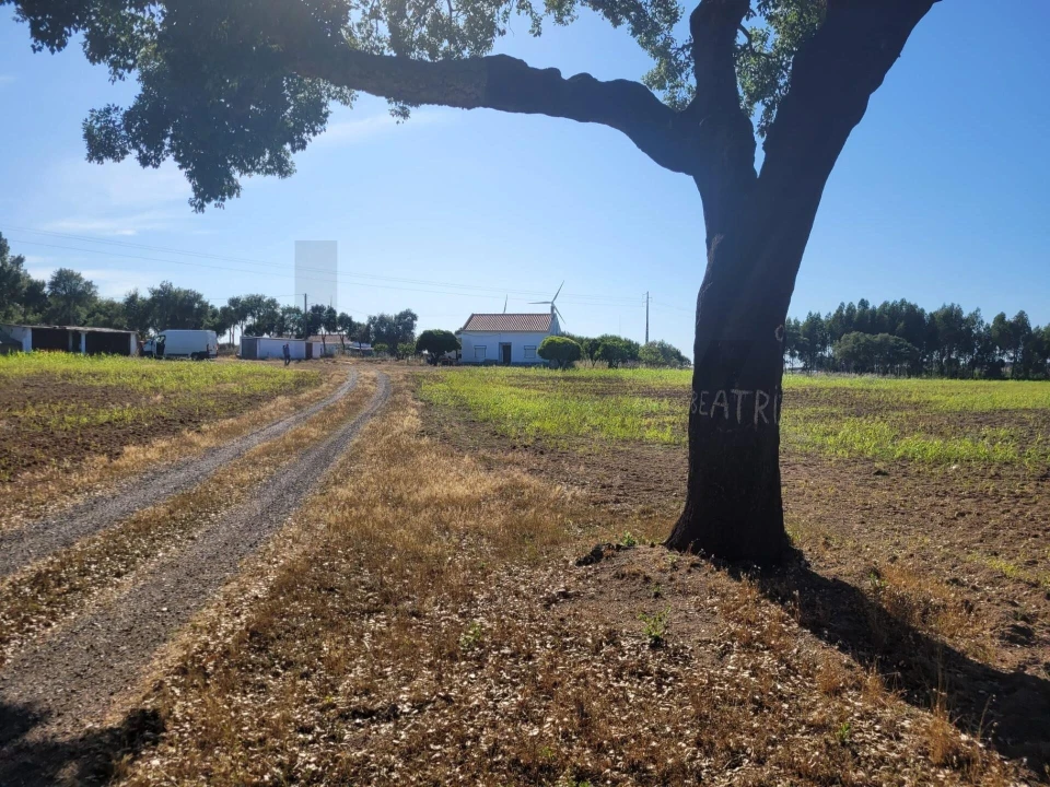 Quinta T2 para Venda em Cercal Foto 7