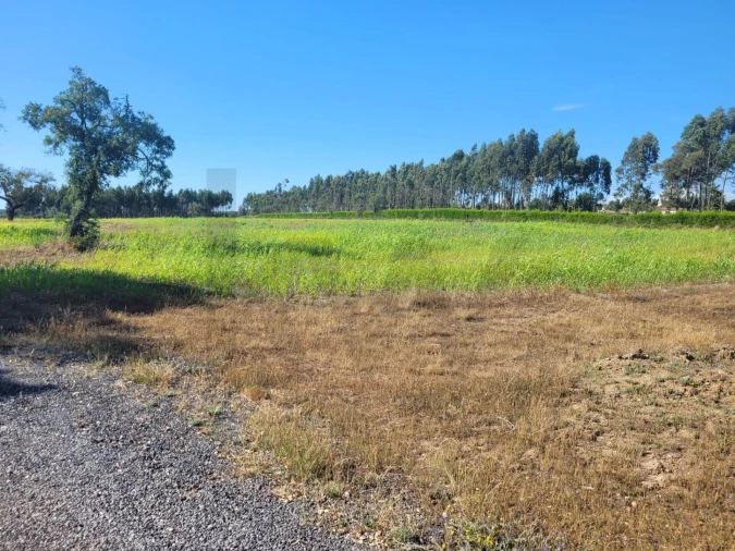 Quinta T2 para Venda em Cercal Foto 29