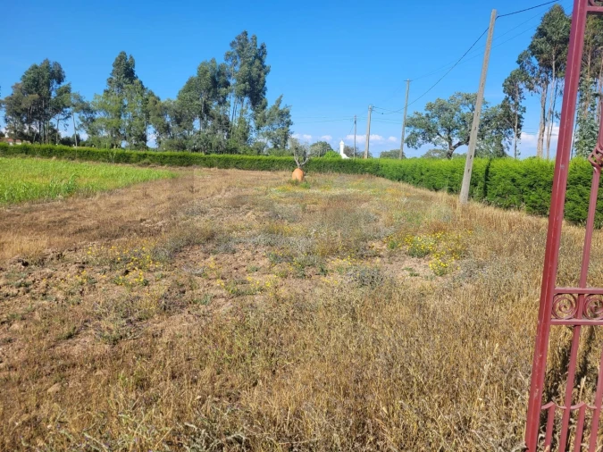 Quinta T2 para Venda em Cercal Foto 30