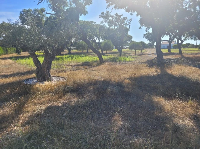 Quinta T2 para Venda em Cercal Foto 31