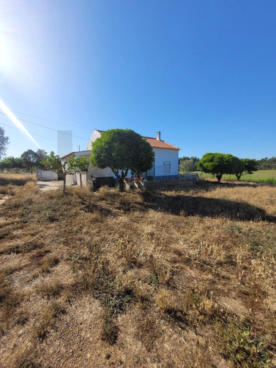 Quinta T2 para Venda em Cercal Foto 26