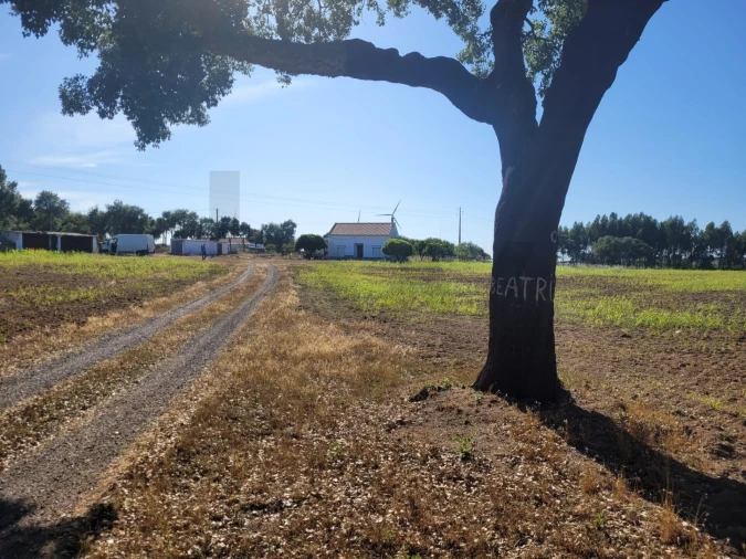 Quinta T2 para Venda em Cercal Foto 7