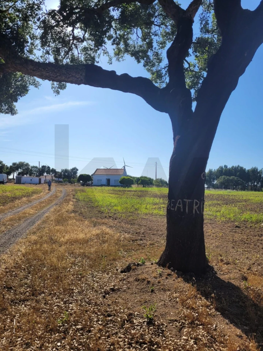 Quinta T2 para Venda em Cercal Foto 27
