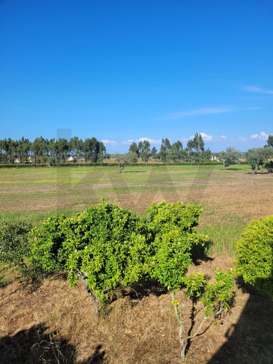 Quinta T2 para Venda em Cercal Foto 10