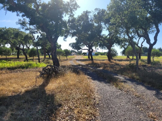 Quinta T2 para Venda em Cercal Foto 28