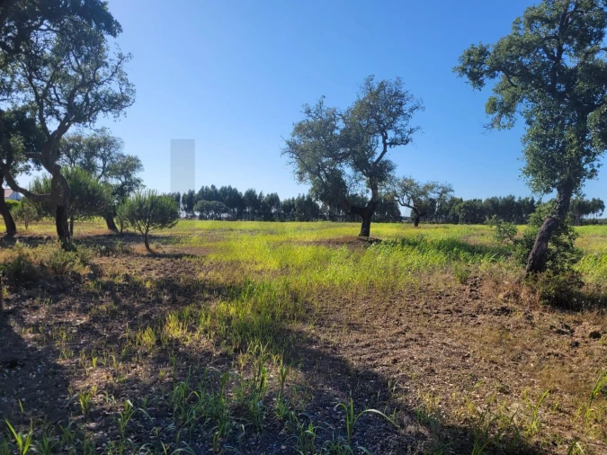 Quinta T2 para Venda em Cercal Foto 15