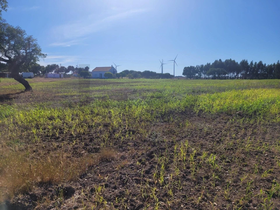 Quinta T2 para Venda em Cercal Foto 14