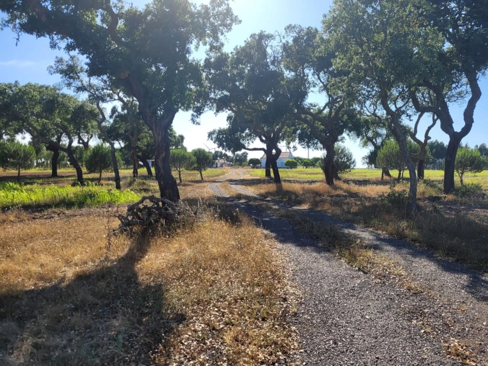 Quinta T2 para Venda em Cercal Foto 28