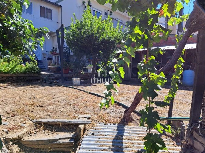 Terreno para Venda em Vila Nova de Foz Côa Foto 4