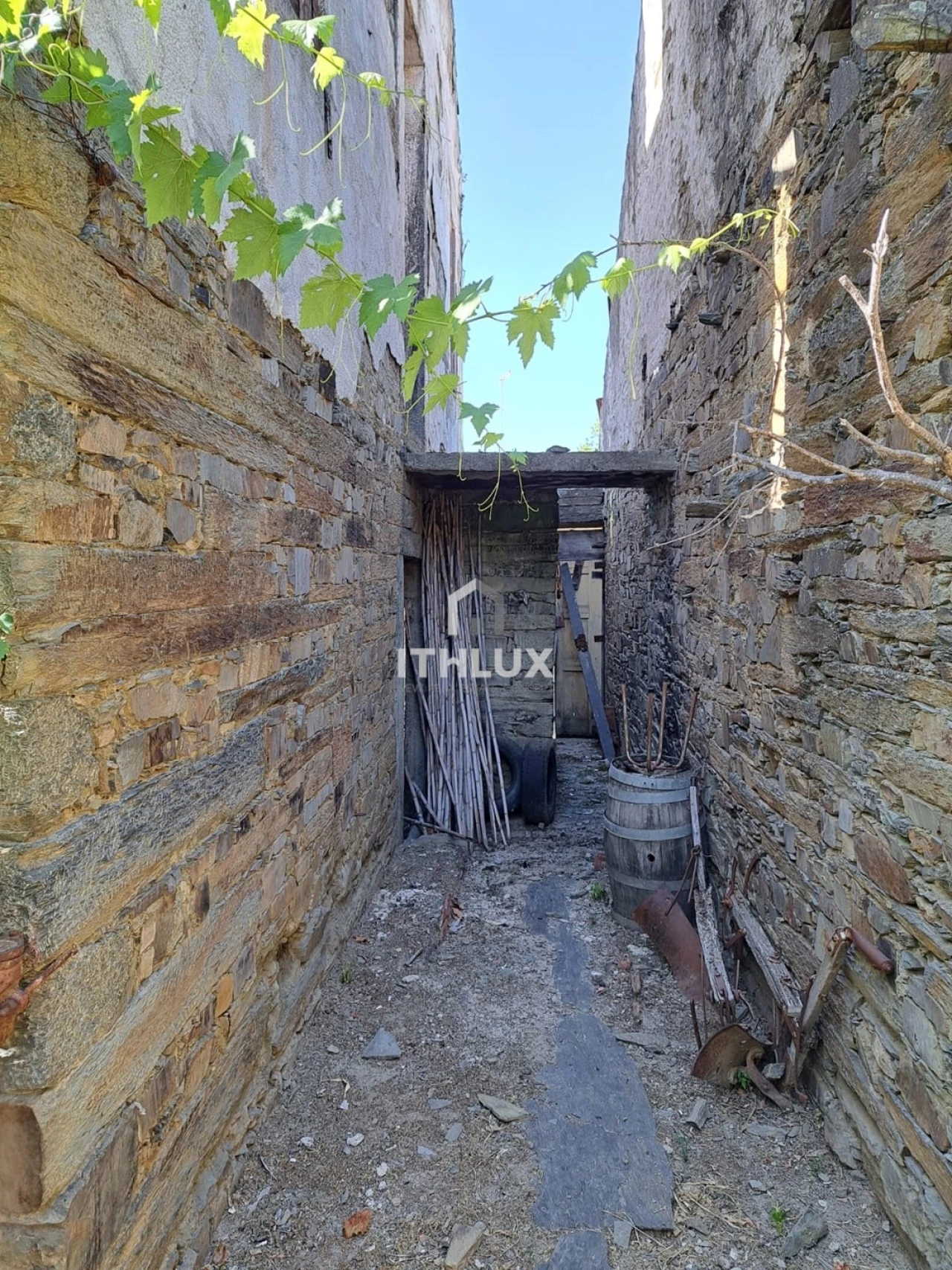 Terreno para Venda em Vila Nova de Foz Côa Foto 3