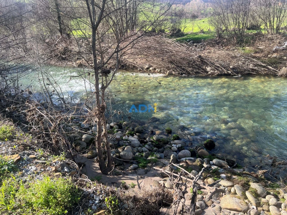 Quinta T2 para Venda em Paul Foto 77