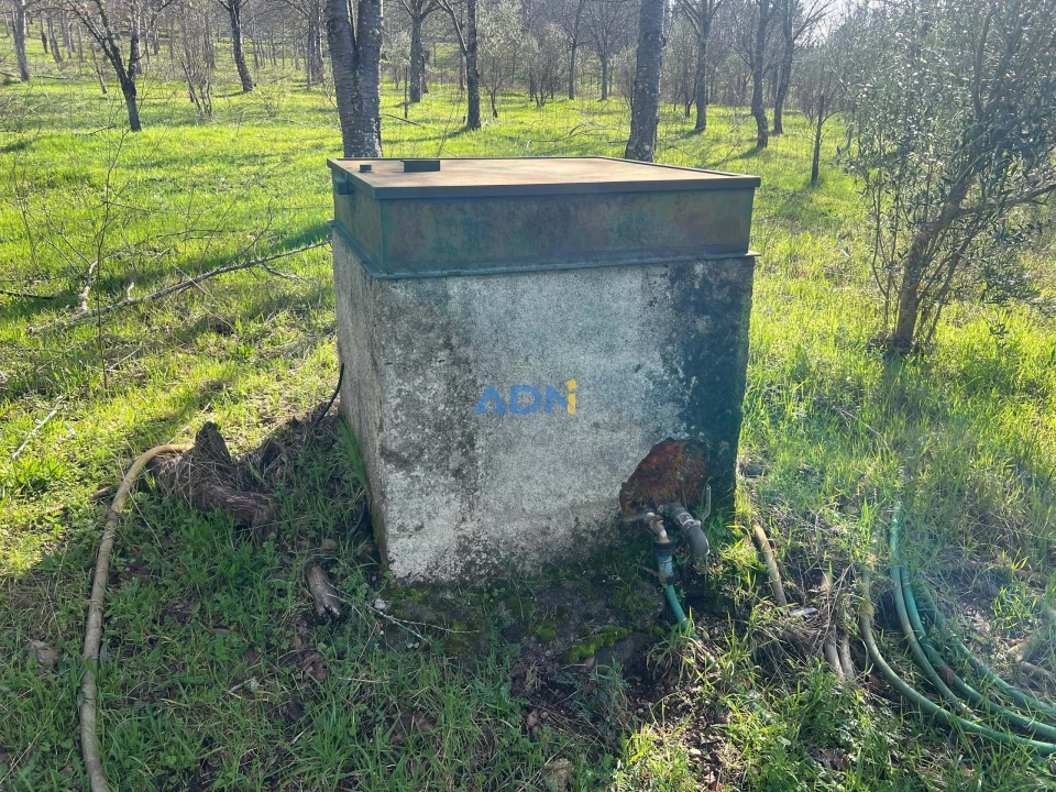 Quinta T2 para Venda em Paul Foto 60