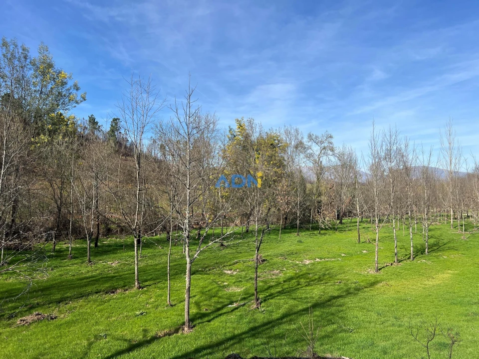 Quinta T2 para Venda em Paul Foto 70