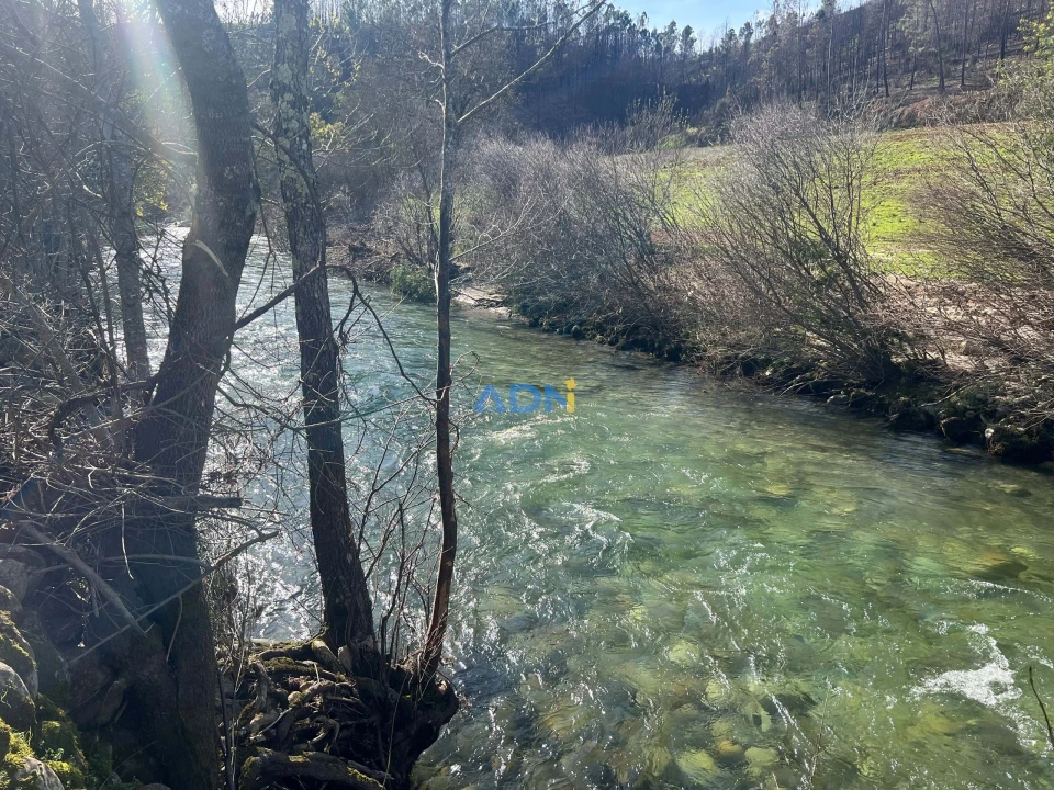 Quinta T2 para Venda em Paul Foto 48