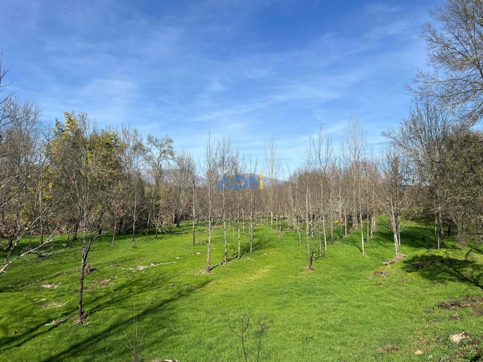 Quinta T2 para Venda em Paul Foto 69