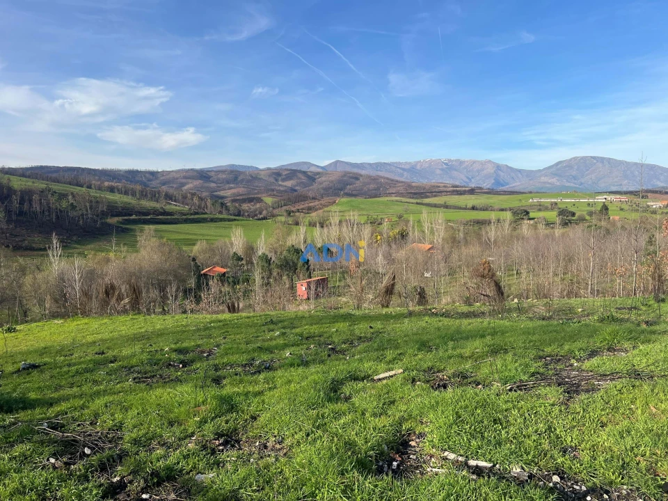 Quinta T2 para Venda em Paul Foto 83