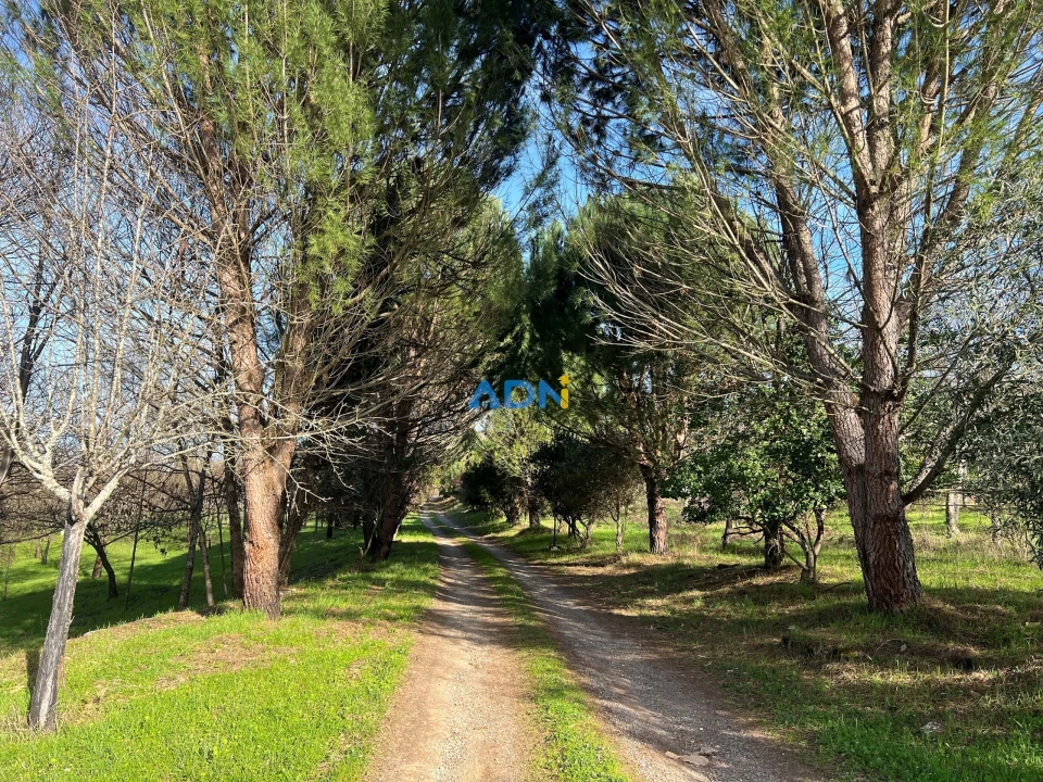 Quinta T2 para Venda em Paul Foto 65