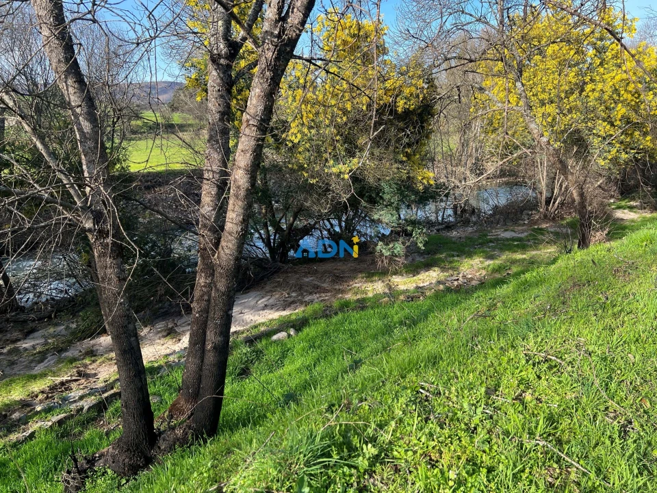 Quinta T2 para Venda em Paul Foto 82