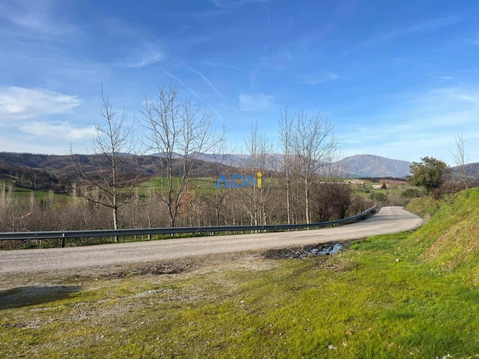 Quinta T2 para Venda em Paul Foto 87