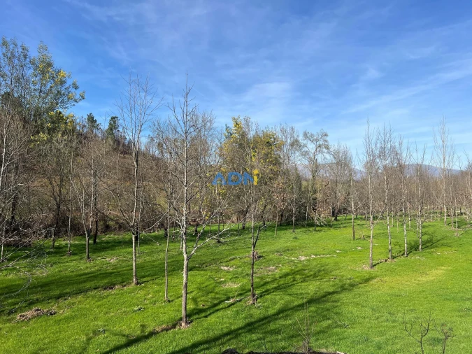 Quinta T2 para Venda em Paul Foto 70