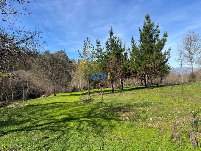 Quinta T2 para Venda em Paul Foto 42