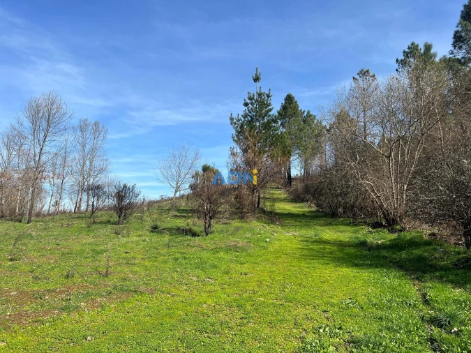 Quinta T2 para Venda em Paul Foto 68