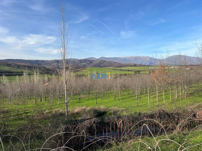 Quinta T2 para Venda em Paul Foto 43