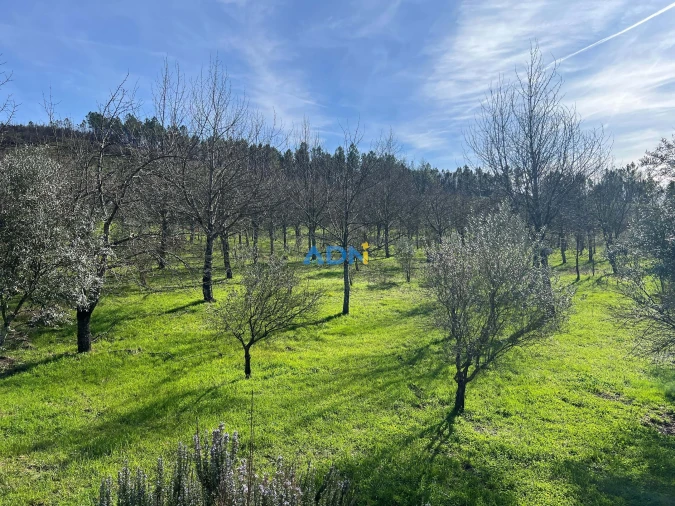 Quinta T2 para Venda em Paul Foto 61